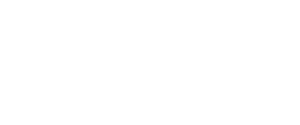 borusan-logo